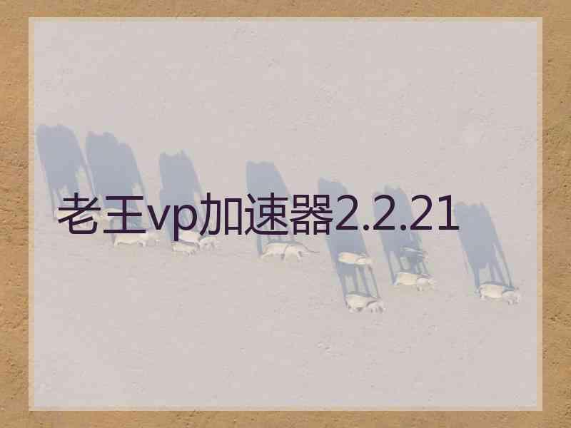 老王vp加速器2.2.21