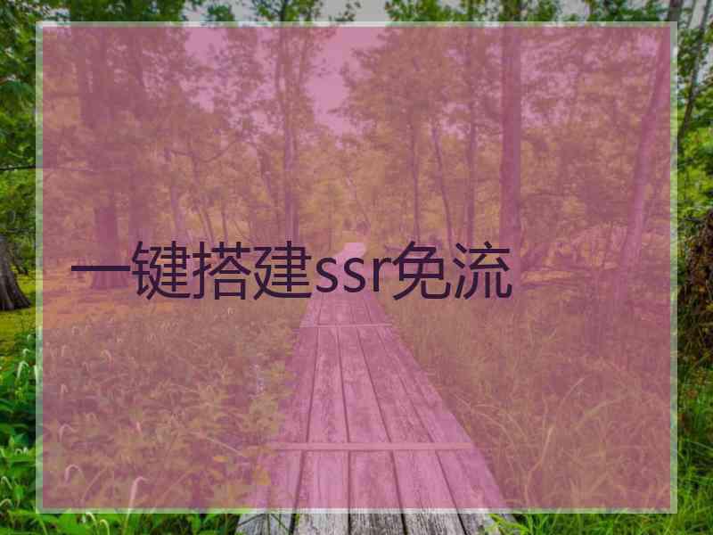 一键搭建ssr免流