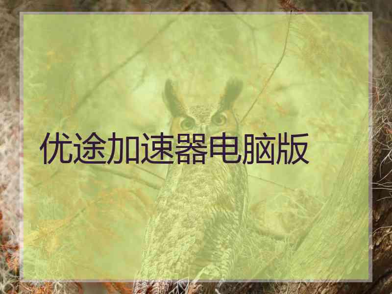 优途加速器电脑版