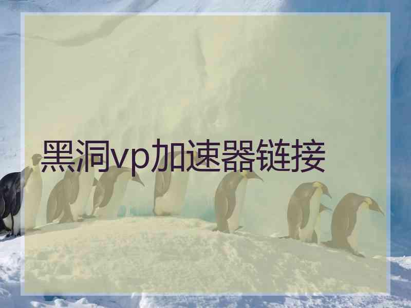 黑洞vp加速器链接