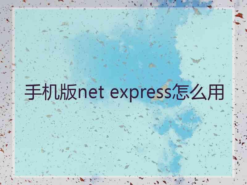 手机版net express怎么用