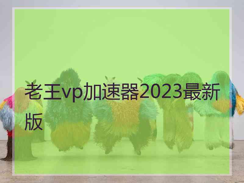 老王vp加速器2023最新版