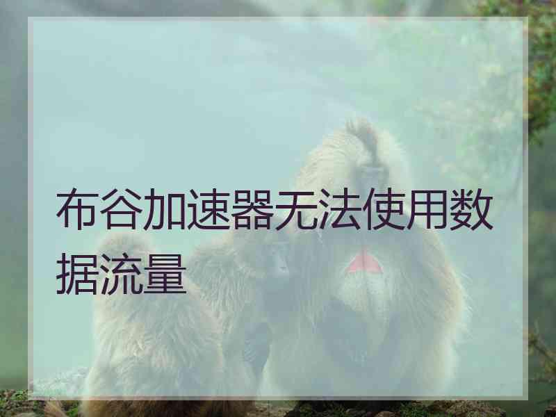 布谷加速器无法使用数据流量