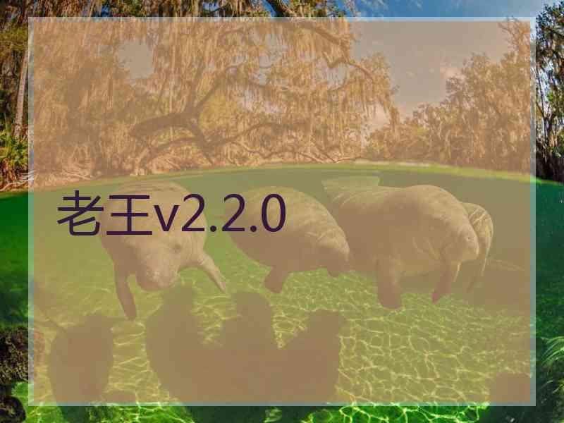 老王v2.2.0
