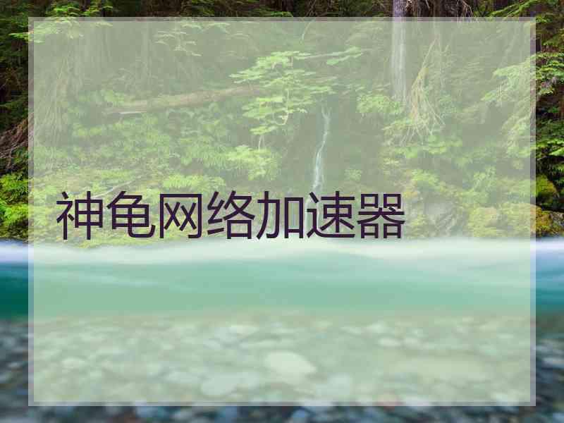 神龟网络加速器