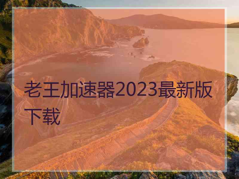老王加速器2023最新版下载