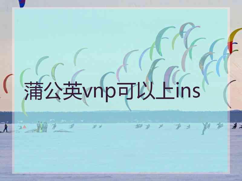 蒲公英vnp可以上ins