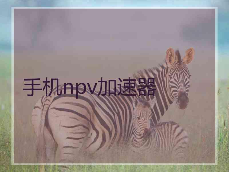 手机npv加速器