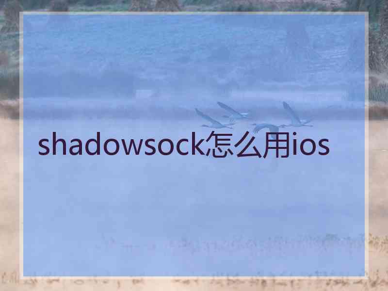 shadowsock怎么用ios