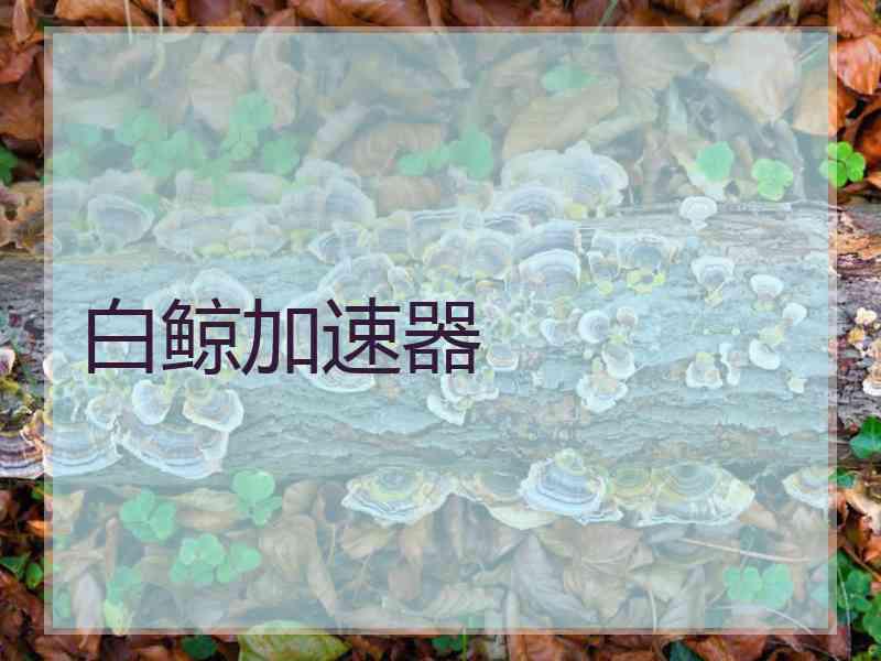 白鲸加速器