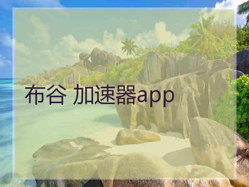 布谷 加速器app