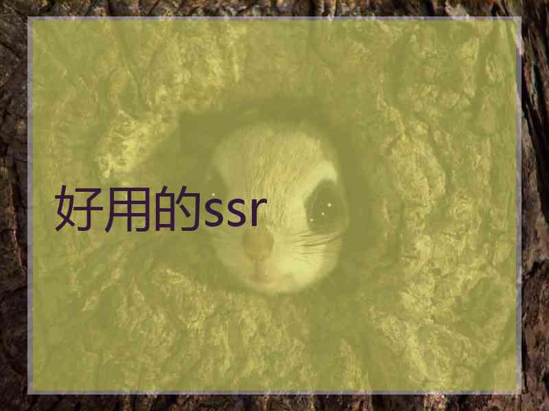 好用的ssr