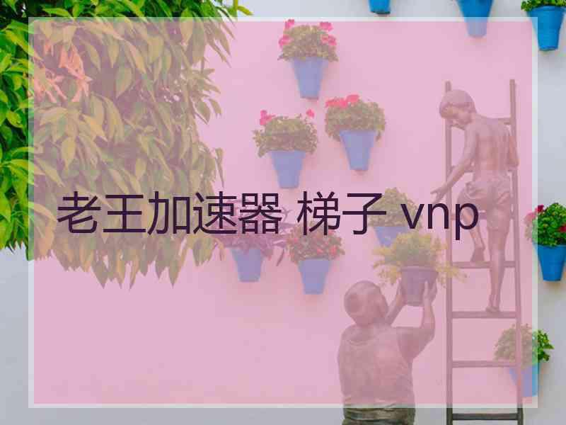 老王加速器 梯子 vnp