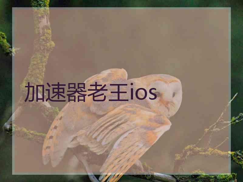 加速器老王ios