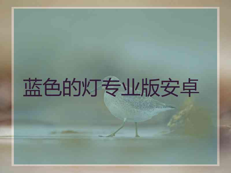蓝色的灯专业版安卓