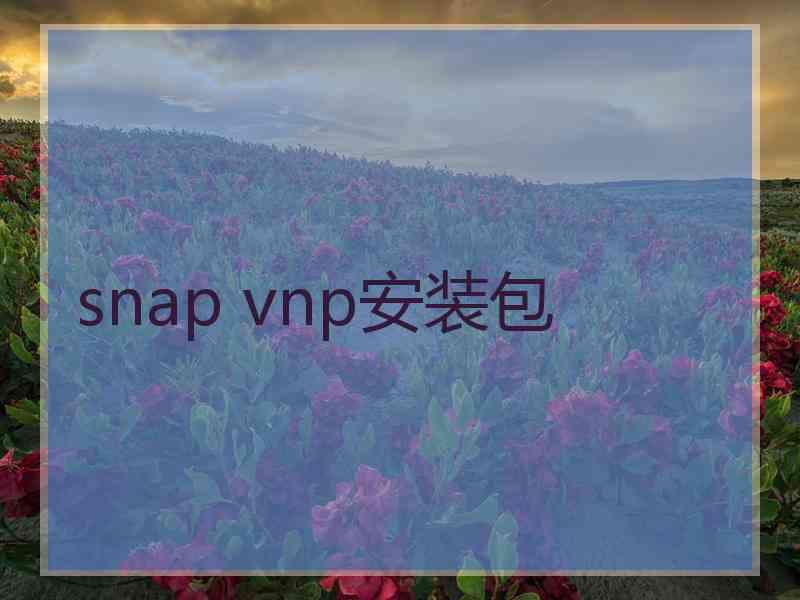 snap vnp安装包