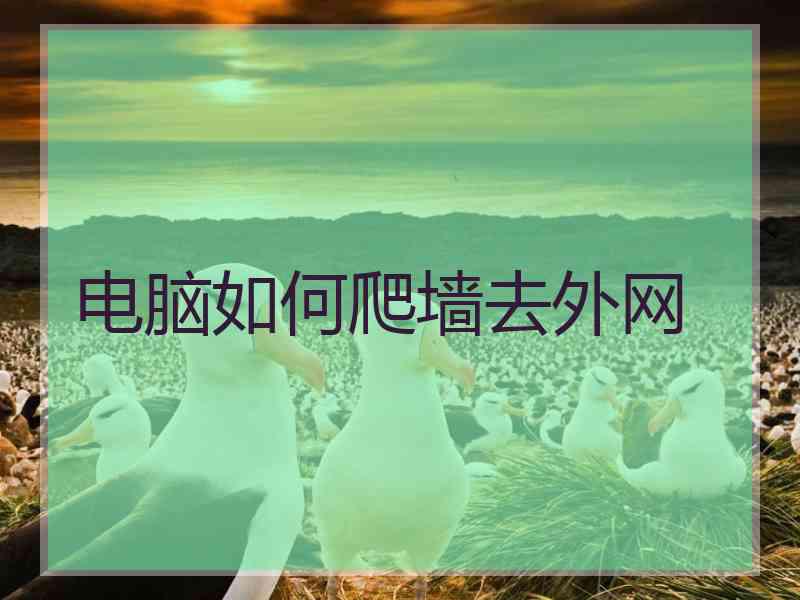 电脑如何爬墙去外网