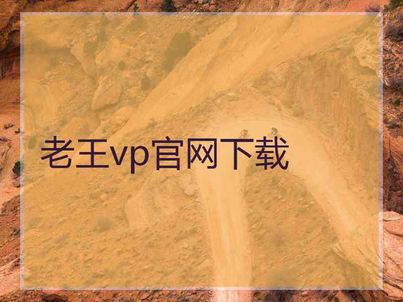 老王vp官网下载