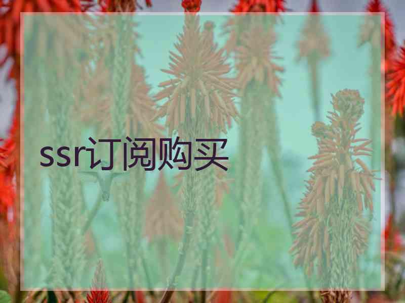 ssr订阅购买