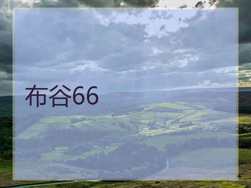 布谷66