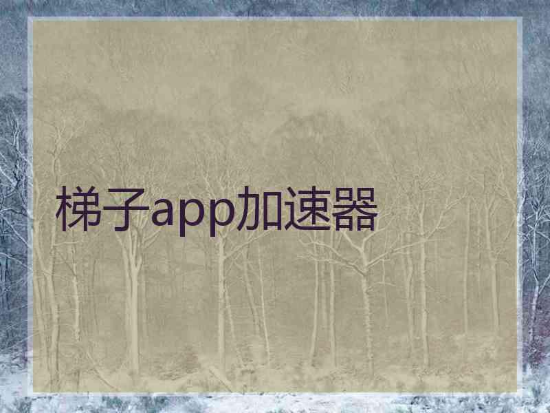 梯子app加速器