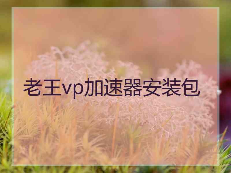 老王vp加速器安装包