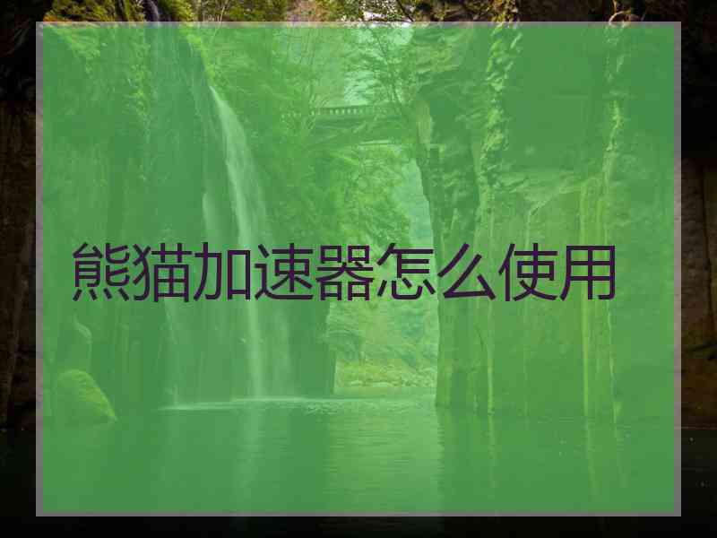 熊猫加速器怎么使用