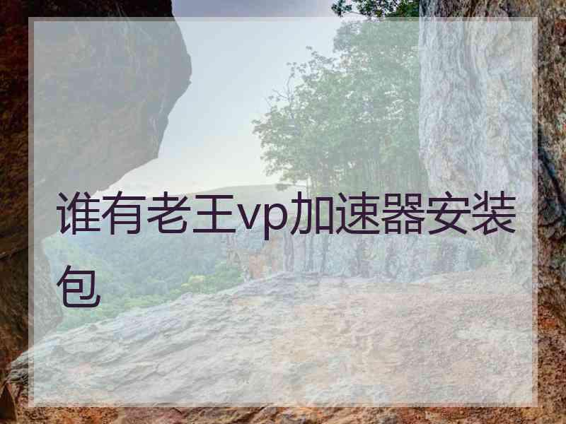 谁有老王vp加速器安装包