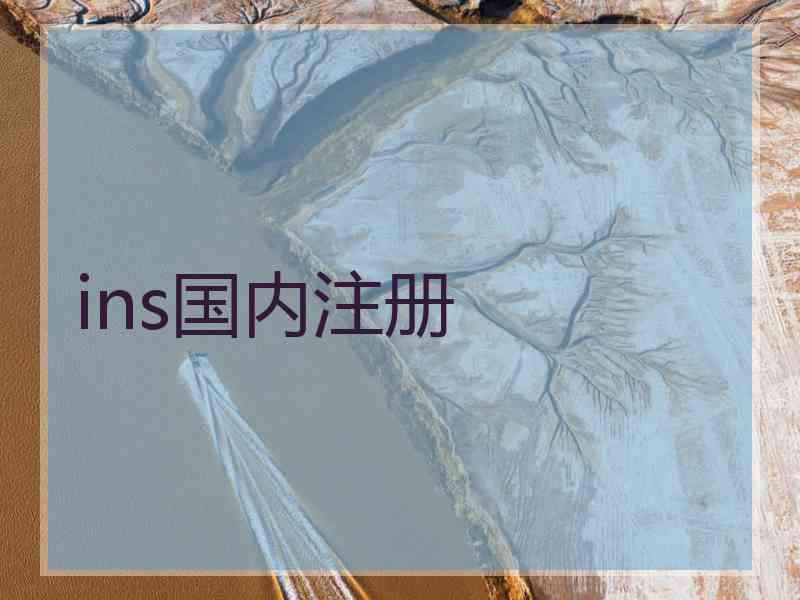 ins国内注册