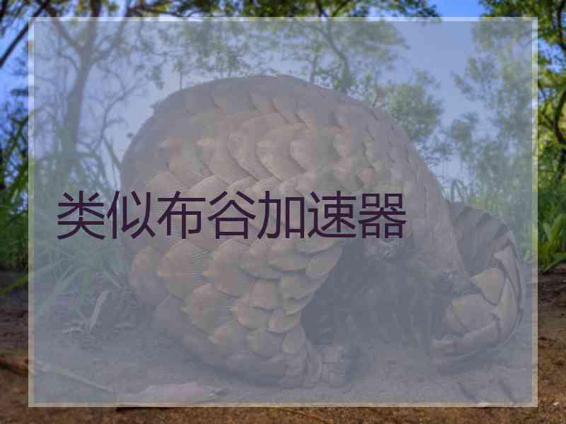 类似布谷加速器