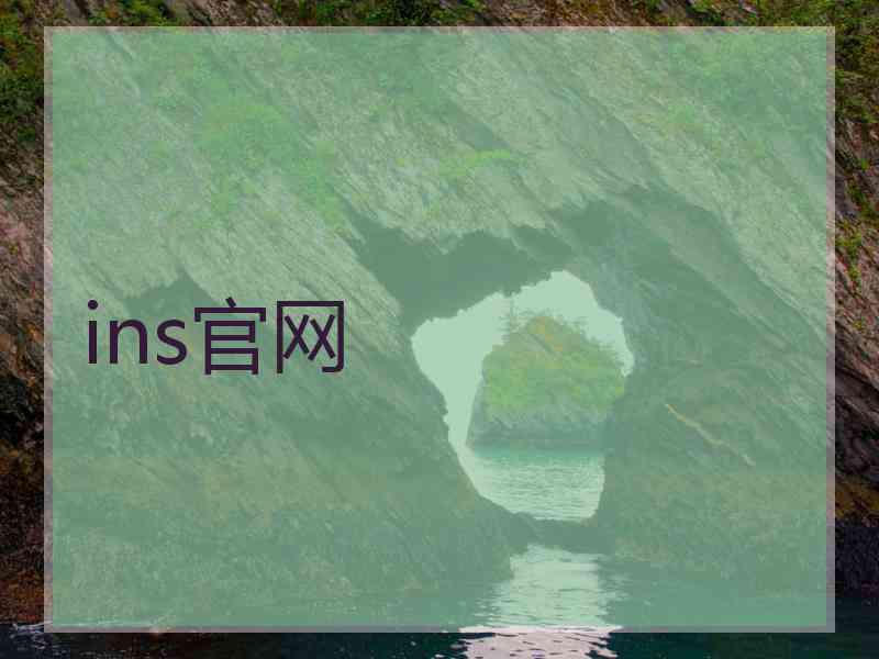 ins官网