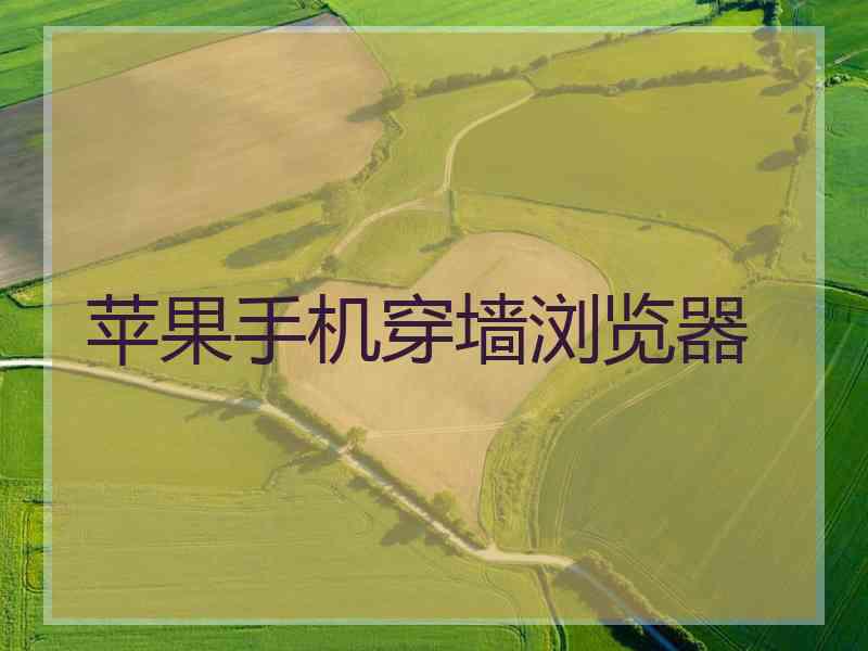 苹果手机穿墙浏览器