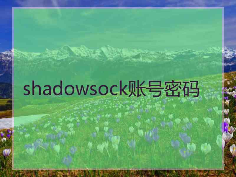 shadowsock账号密码