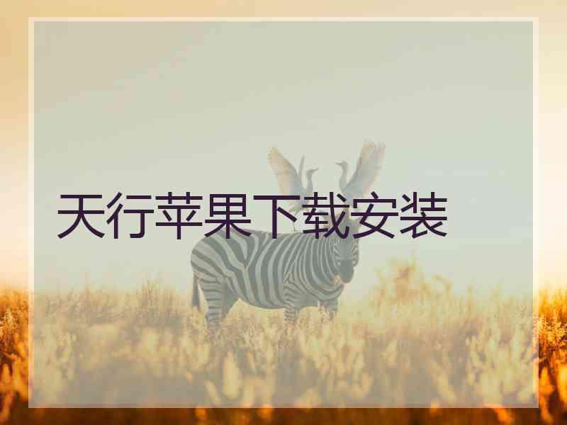 天行苹果下载安装