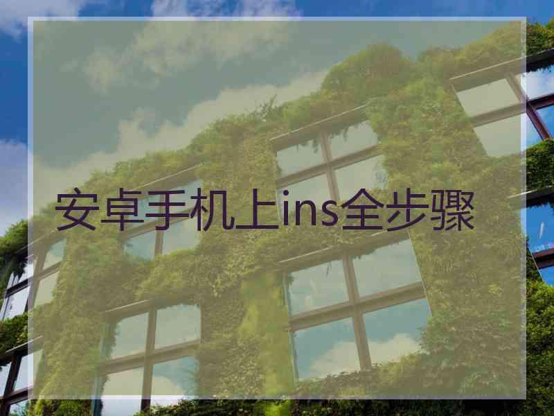 安卓手机上ins全步骤