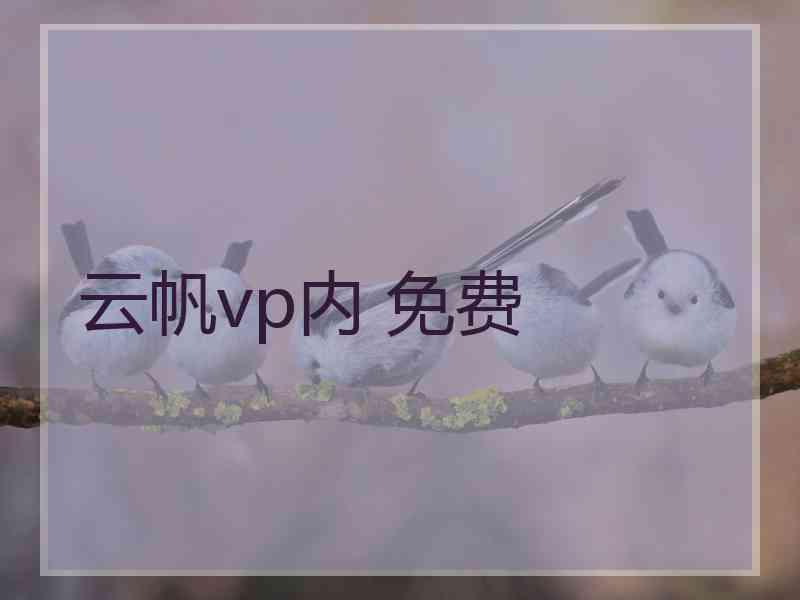 云帆vp内 免费