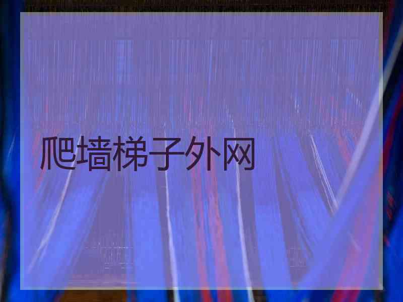 爬墙梯子外网