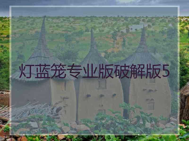 灯蓝笼专业版破解版5