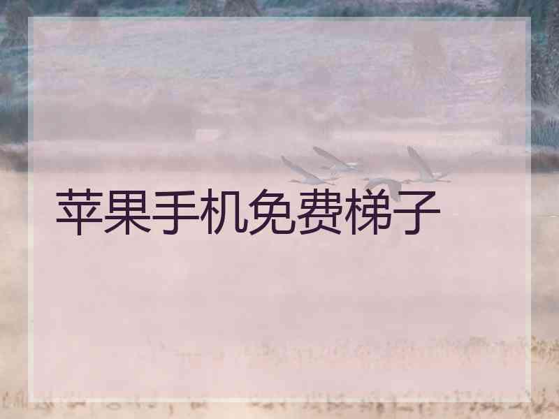 苹果手机免费梯子