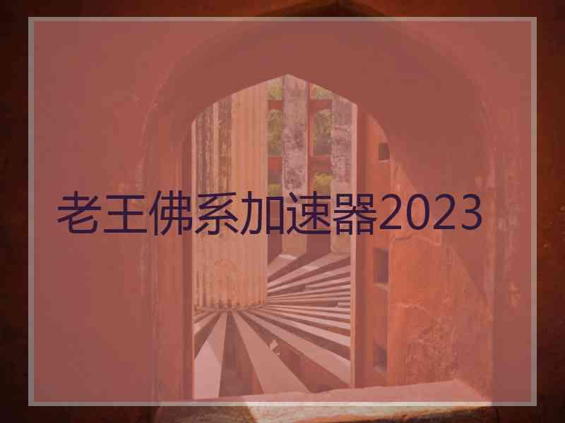 老王佛系加速器2023