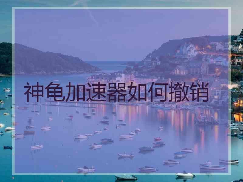 神龟加速器如何撤销