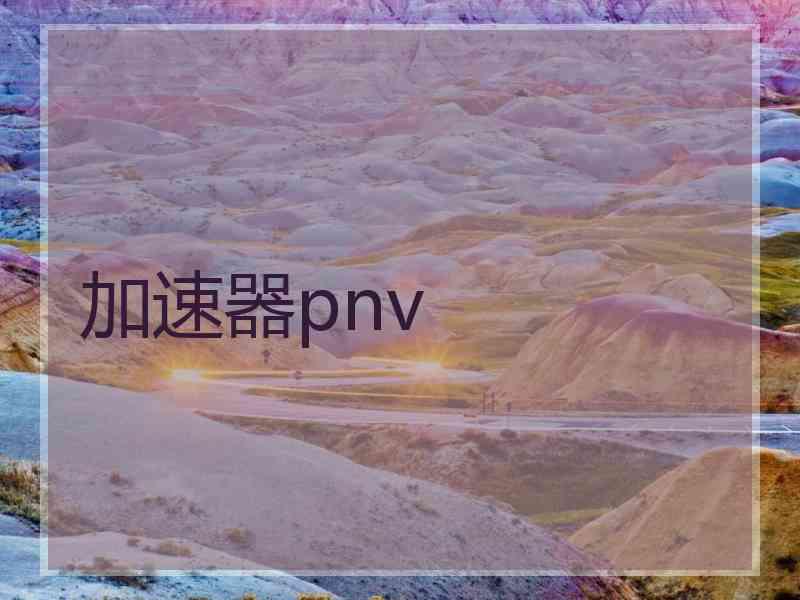 加速器pnv