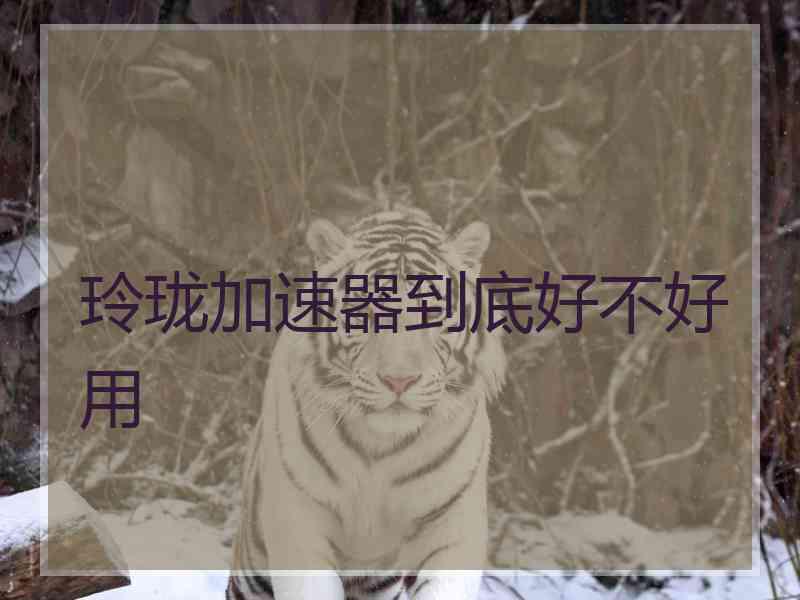 玲珑加速器到底好不好用
