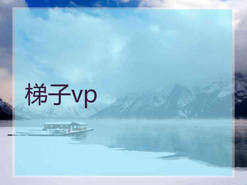 梯子vp