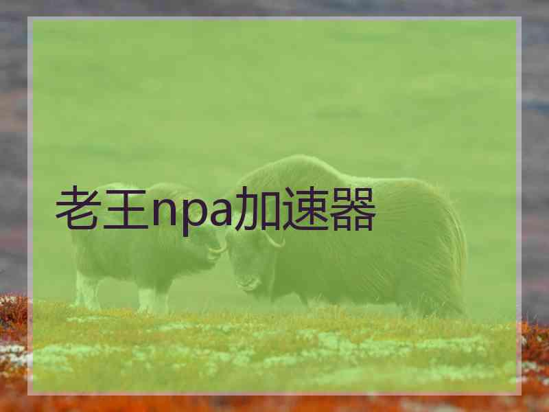 老王npa加速器