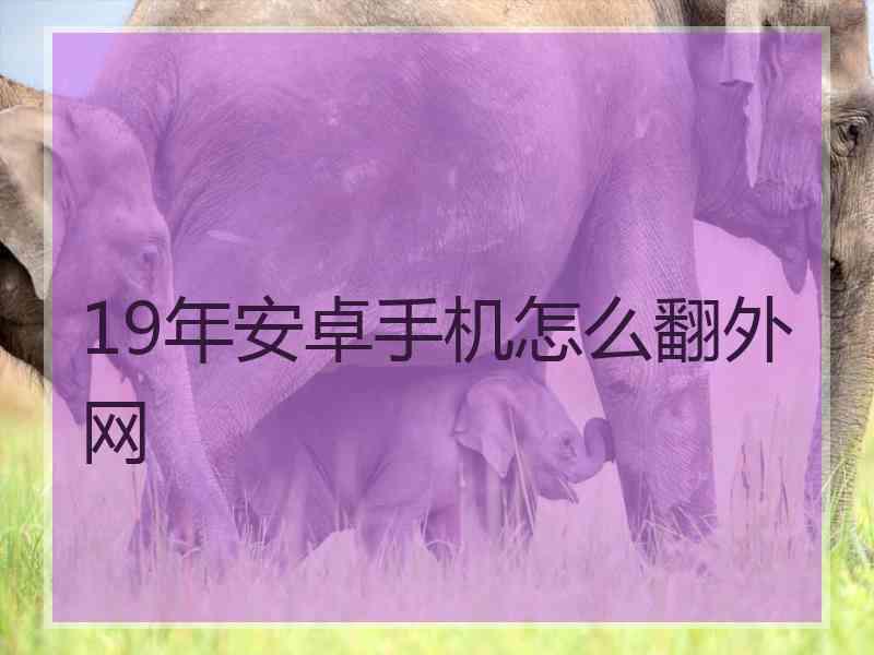 19年安卓手机怎么翻外网