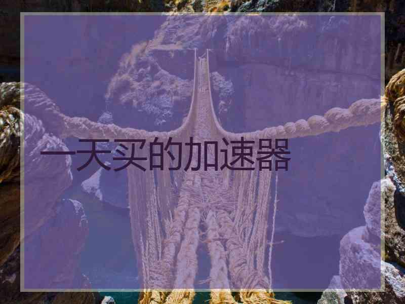 一天买的加速器