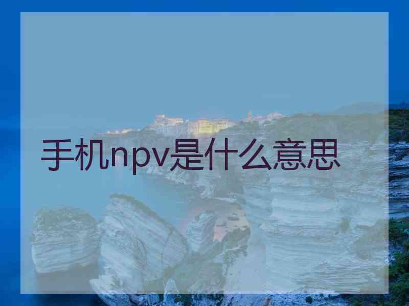 手机npv是什么意思