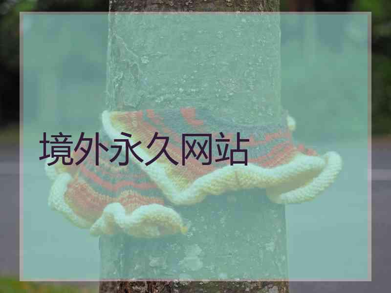 境外永久网站