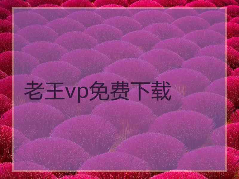 老王vp免费下载